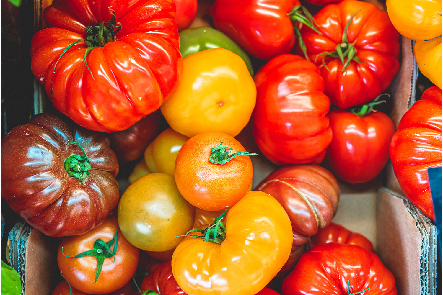 Pile of Tomatoes